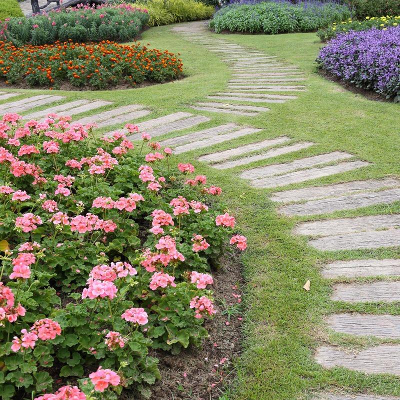 Création de jardin (3)