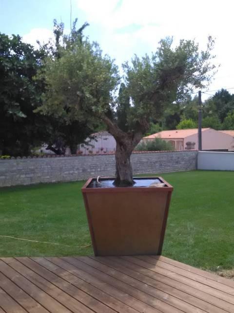 Création de jardin (8)