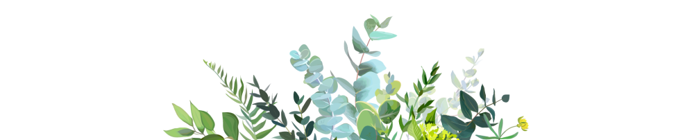 Pépinières-du-Ruisseau-plantes