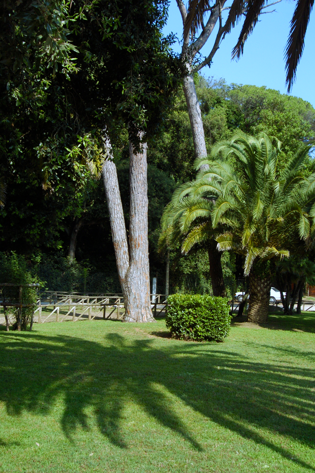 création de jardin à Saint-Pierre-La-Noue